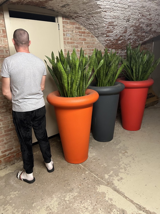 3 XXXL Plant pots – G00000, Plastic (photo 2 of 9)