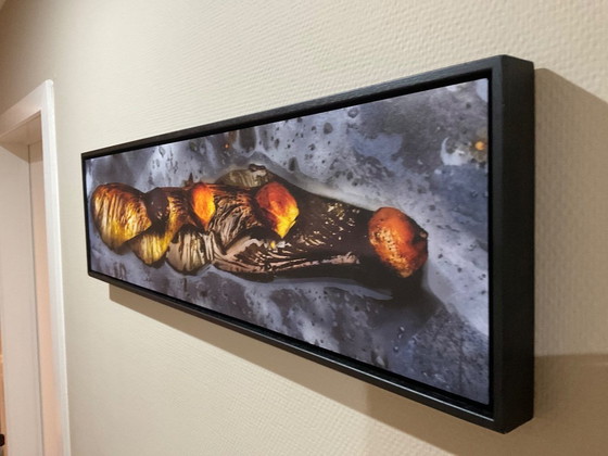 Image 1 of Photo on Aluminium in Special Black Frame Stock
