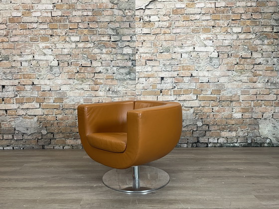 Image 1 of Poltrona Tulip di B&amp;B Italia