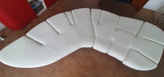 Image 1 of Flap - Edra