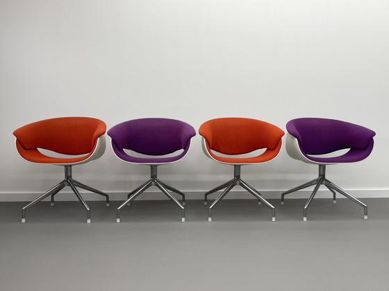 Image 1 of B&B Italia  Sina kuipstoel 4 stuks