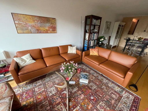 Brown Leather 2-Seater and 3-Seater Sofas