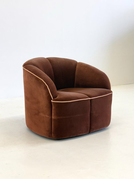 Image 1 of Fauteuil Piccolino de Walter Knoll