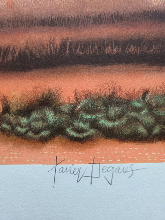 Image 1 of Degans Xavier (1949-) - Litografia Prova d'artista
