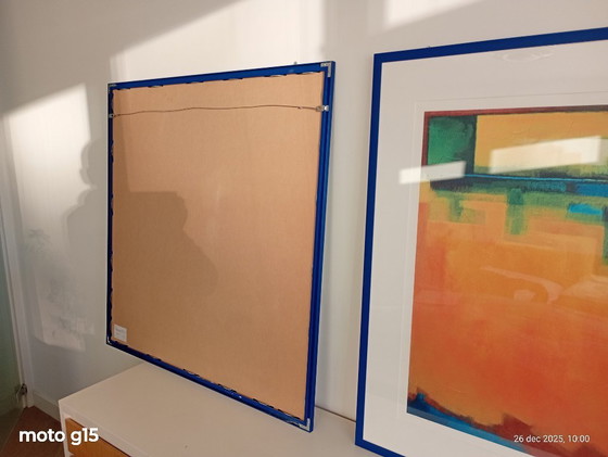 Image 1 of 2 grote kleurrijke zeefdrukken van Maria Megens.