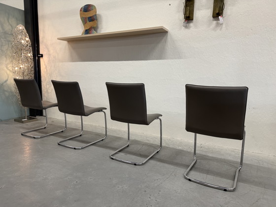 Image 1 of 4 Leolux Freyr dining chair Wapiti Triel