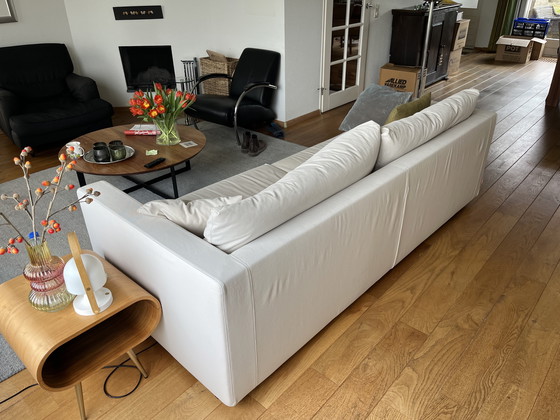 Image 1 of Divano Flexform modello Magnum