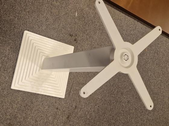 Image 1 of Table à manger design avec piètement Pedrali – Plateau en noyer (230 x 110 cm)