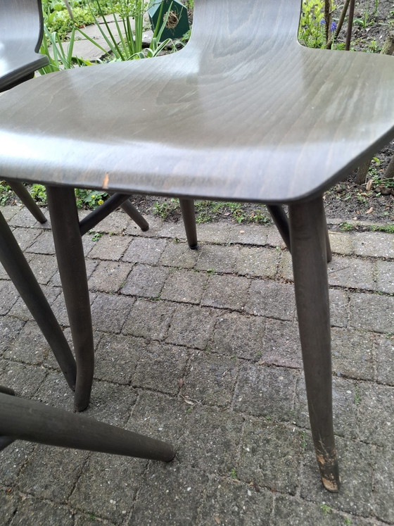 Image 1 of 5 sedie Tulipani | Roderick Vos | Dutch Design