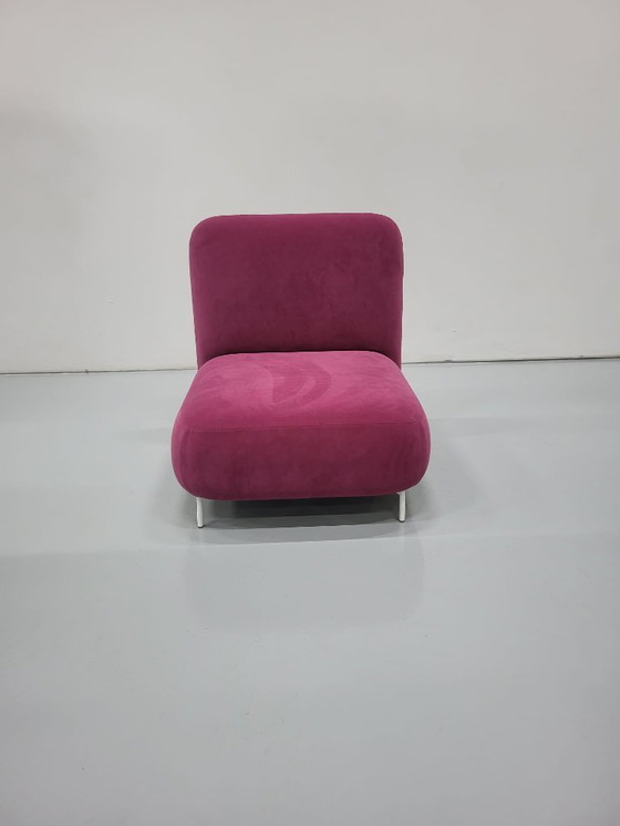 Image 1 of 1x poltrona lounge Pedrali Buddy