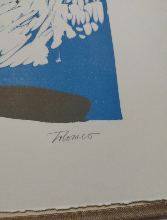 Baudelaire, La sainte jeunesse: Complete folder with linoleum by Carla Tolomeo ex. 75/75, 63x45 cm (photo 10 of 15)