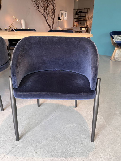 4x Porro Frank chair