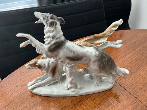 Borsoi honden in kleur