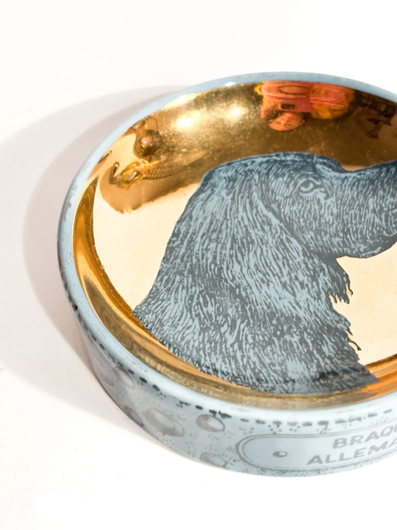 Cuenco de cerámica para perros con la figura de un braco alemán de pelo corto, de Piero Fornasetti, década de (photo 6 of 6)