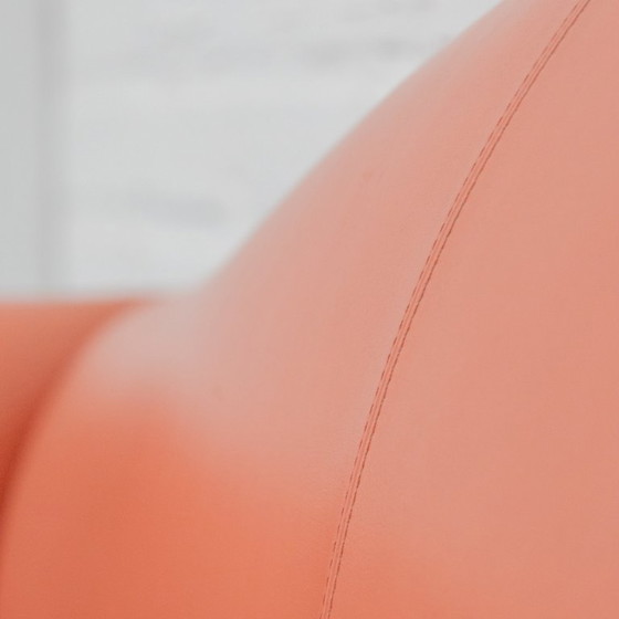 Image 1 of Hydra Sirius Zweisitzer-Sofa Poltrona Frau