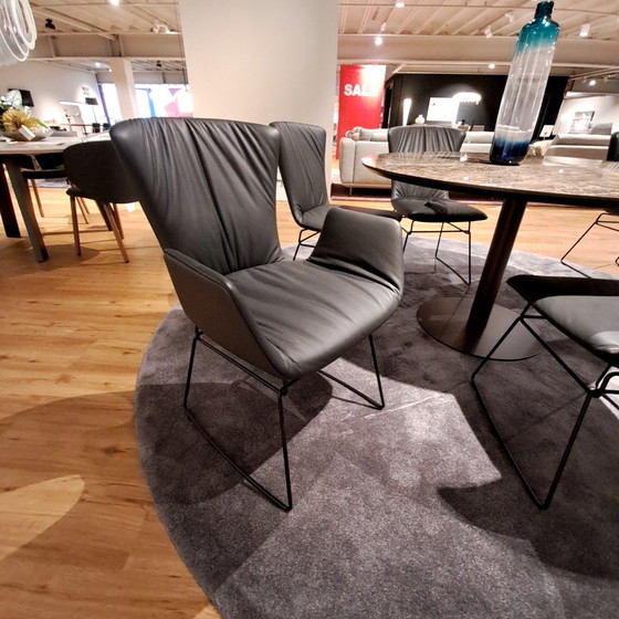 Image 1 of Draenert Dexter eetkamerstoel (set van 6)