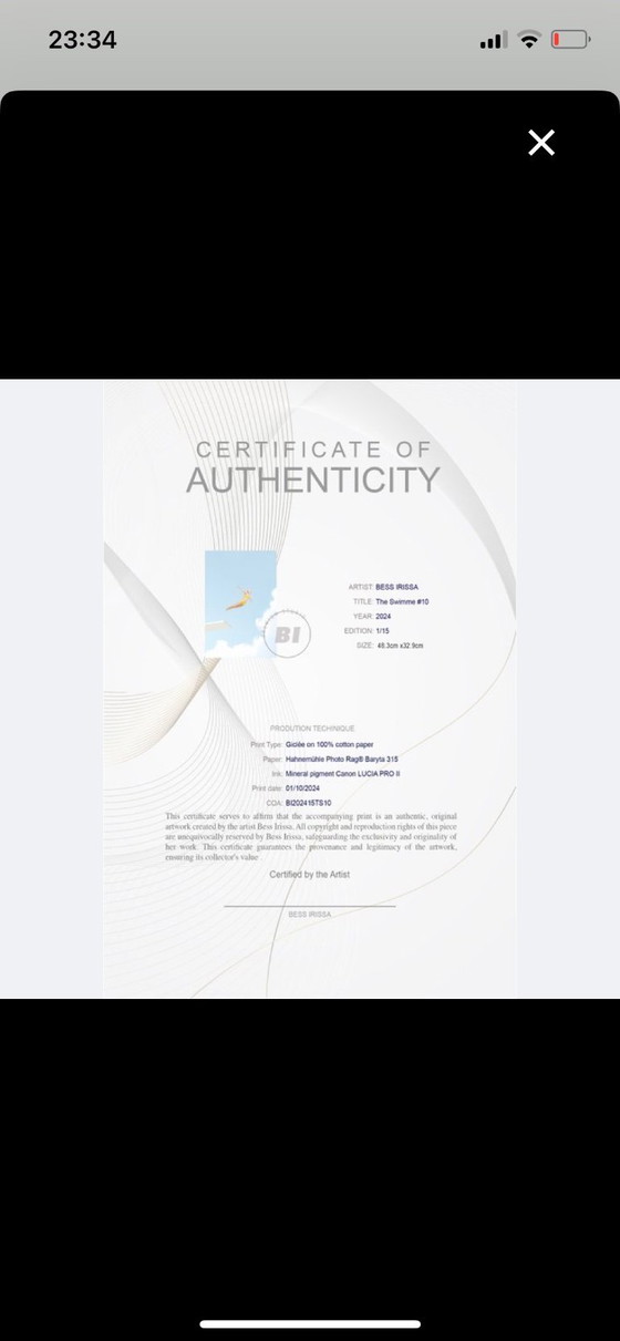 Image 1 of The Swimmer #10