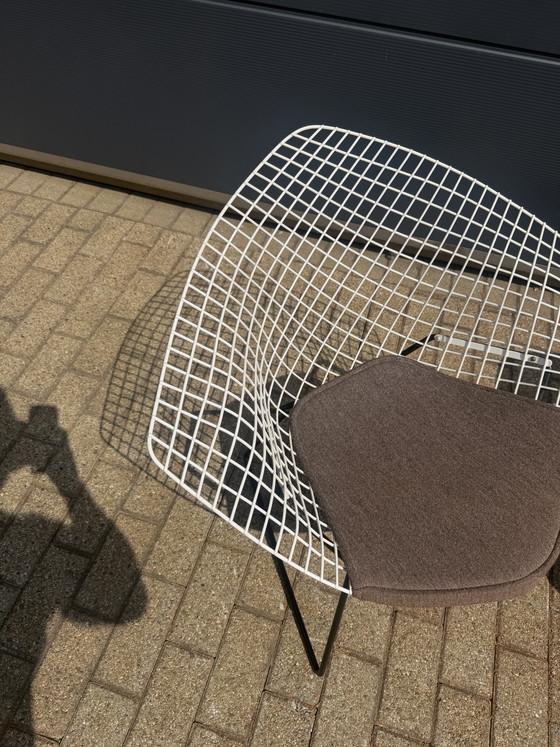 Originele Vintage Knoll Bertoia Diamand Chair TOPstaat!! – Fauteuils, Metal, Textile (photo 13 of 14)