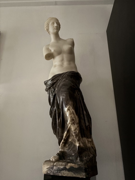 Vénus de Milo – Sculptures, Stone, Marble (photo 3 of 5)