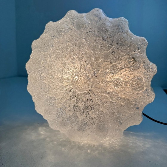 VINTAGE "RIDI LEUCHTEN" WALL OR CEILING LIGHT – Wall lights, Plastic (photo 2 of 13)