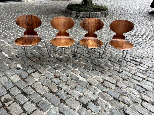 4 chairs, model 3100, by Arne Jacobsen, for Fritz Hansen, Denmark, 1965