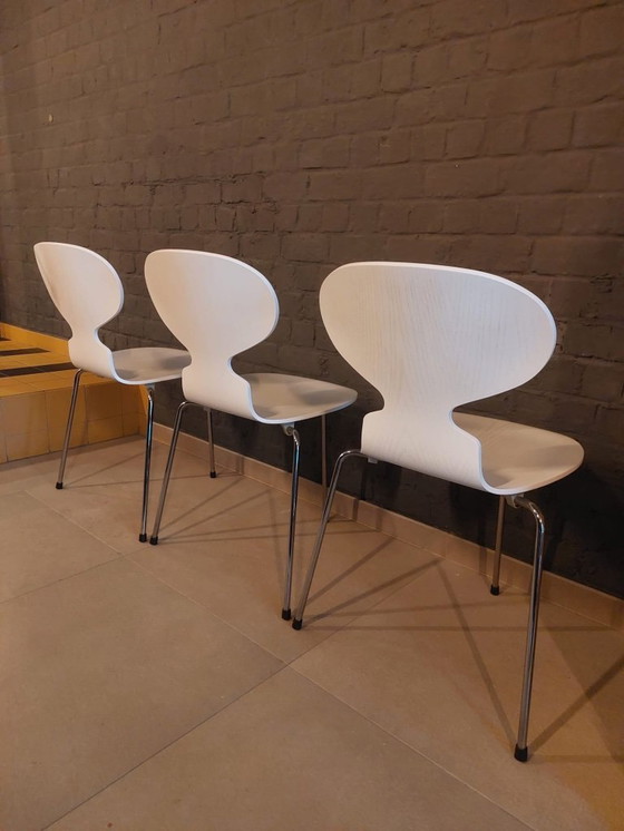 Image 1 of Repubblica di Fritz Hansen Arne Jacobsen (2008) (3 tappe)