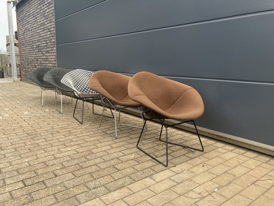 Image 1 of 2 chaises originales Knoll Bertoia Diamond