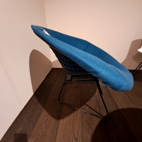 Image 1 of Poltrona relax Knoll Bertoia