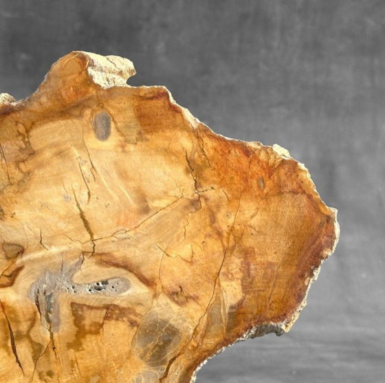 Image 1 of Bois fossilisé de Sooka, fabrication sur mesure standard (nouveau)