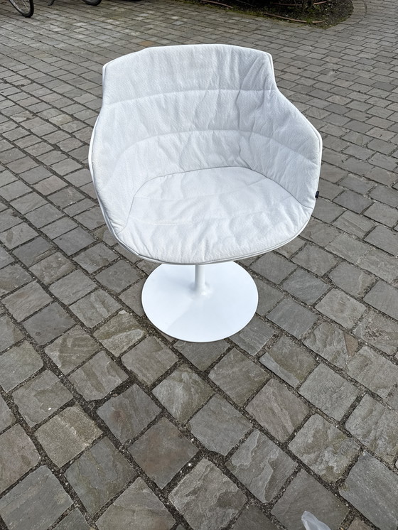 Image 1 of MDF ITALIA, Flow Slim Esszimmerstuhl mit drehbarem/trompetenförmigem Fußkreuz und Armlehne