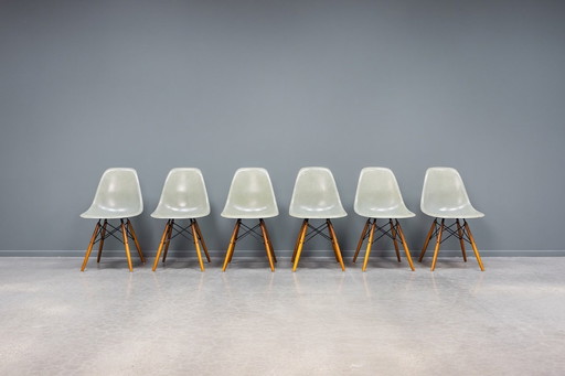 Eames DSW Seafoam Fiberglass stoelen, 6 stuks