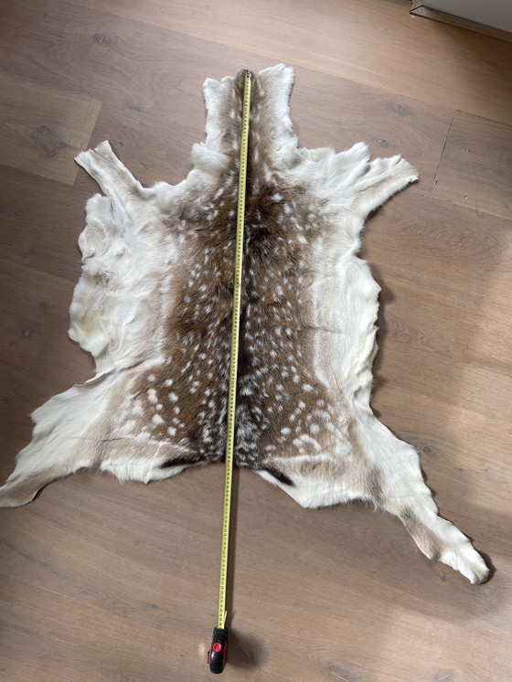 Image 1 of Damhertenhuiden wintervacht