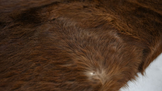Image 1 of Lionel Jadot, Important Daybed in Cowhide, Leather and Oak. C.2010