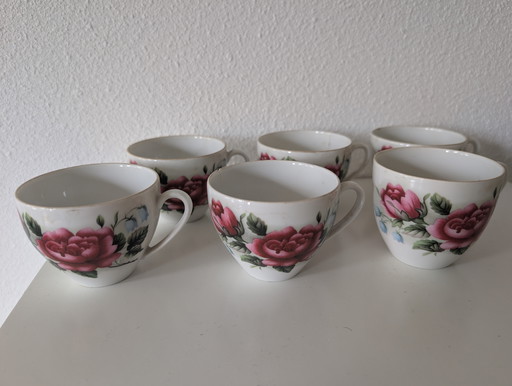 Vasos Royal Schwabap 5 +1