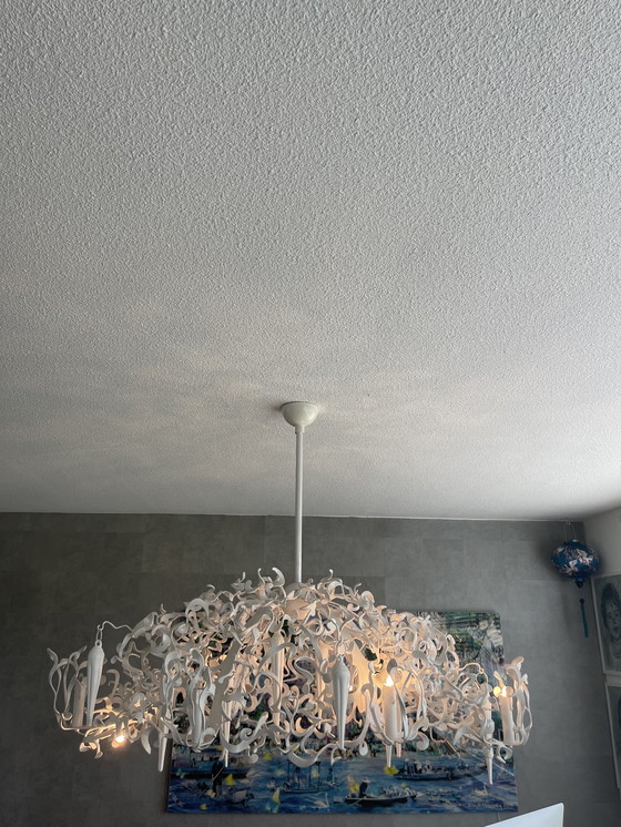 Image 1 of MarqueVanEgmond flowerpower