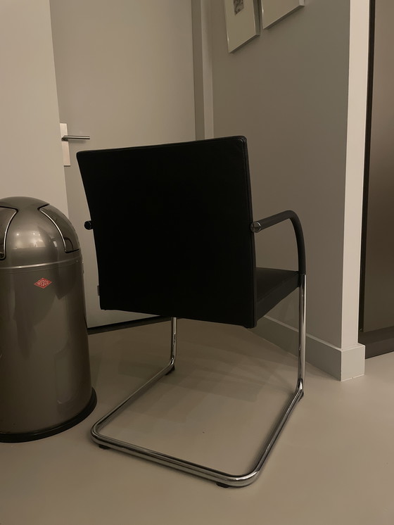 Image 1 of 6 sedie Walter Knoll