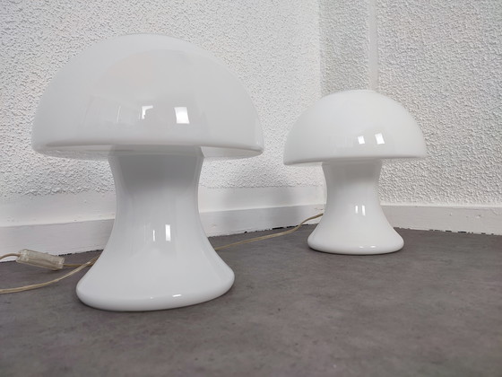 Image 1 of Set 1970S - s.e.c. France - mushrooms 