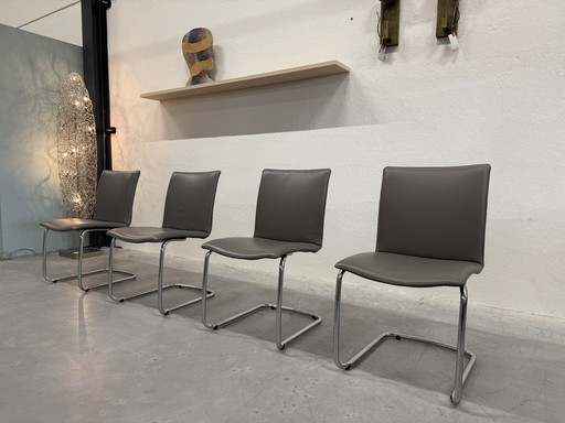 4 Leolux Freyr dining chair Wapiti Triel