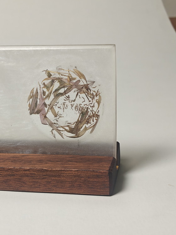 Image 1 of Floral Light I — The Quiet Season (Transition)