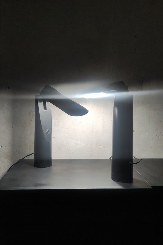 Image 1 of Paire de lampes Picchio de Luxo