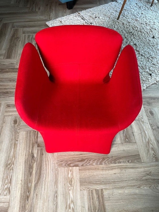 Image 1 of 4x Moroso Bloomy
