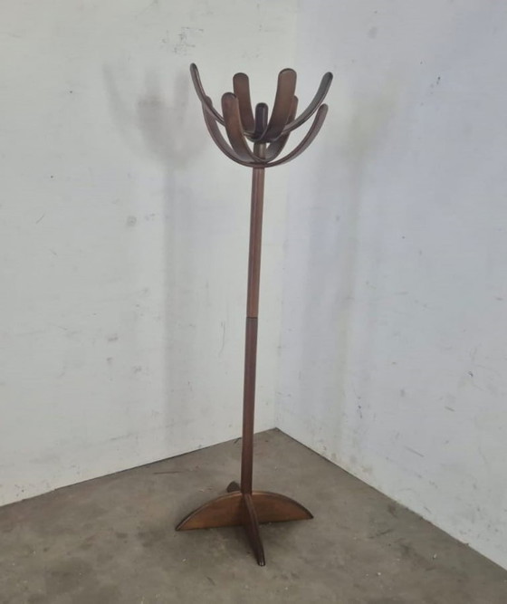 Image 1 of Cactus by Mauro Pasquinelli Coat rack
