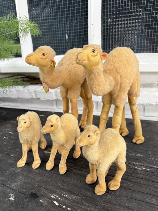 Rare Steiff camel family - 5 pieces - with original tags - ca. 1960/70