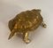 Messing schildpadsculptuur – Beeldhouwkunst, Brass (photo 6 of 9)