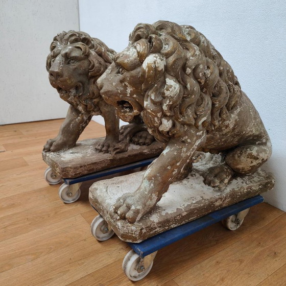 Image 1 of Set di 2 grandi statue da giardino raffiguranti un leone, ornamento da giardino in cemento.