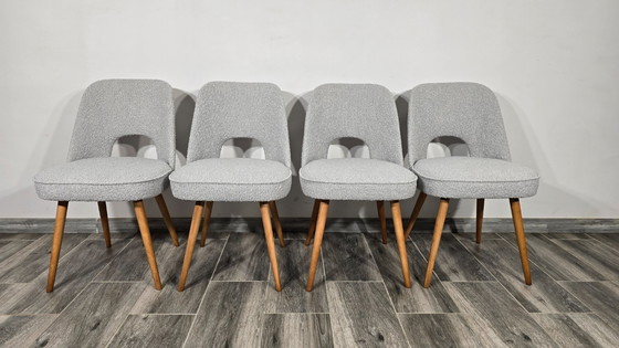 Image 1 of Esszimmerstühle von Oswald Haerdtl