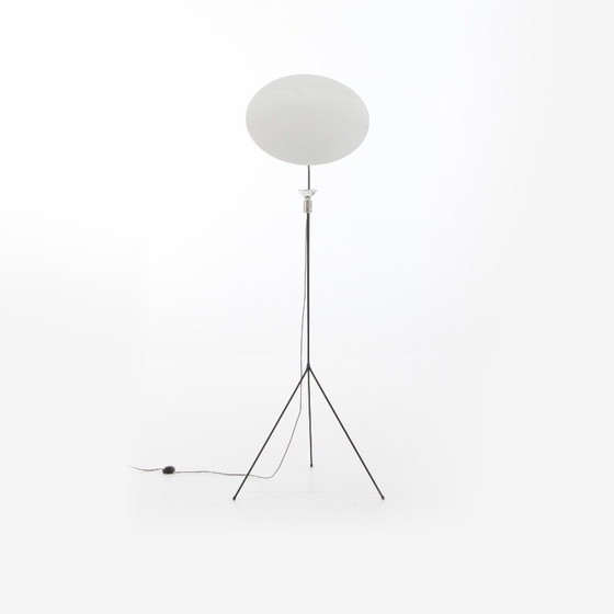 Solveig Floor standard lamp Ligne Roset – Floor lights, Other (photo 5 of 7)