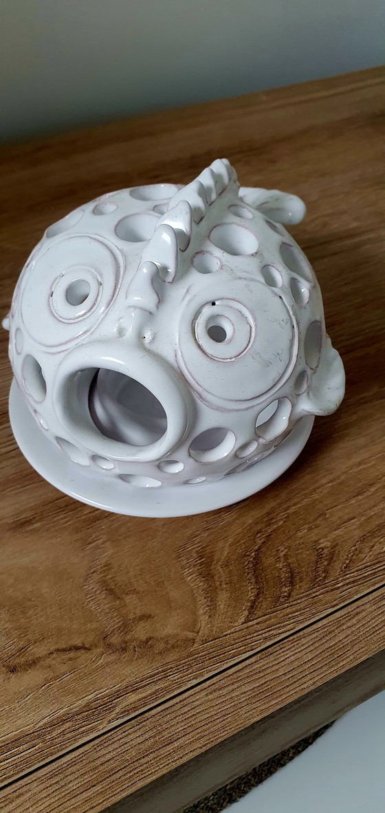 Image 1 of Pesce palla