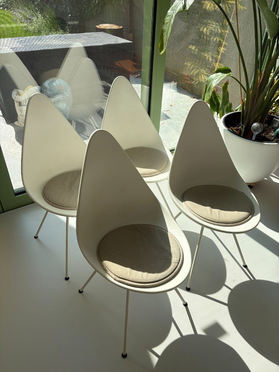 Image 1 of 4 sedie drop Fritz Hansen con