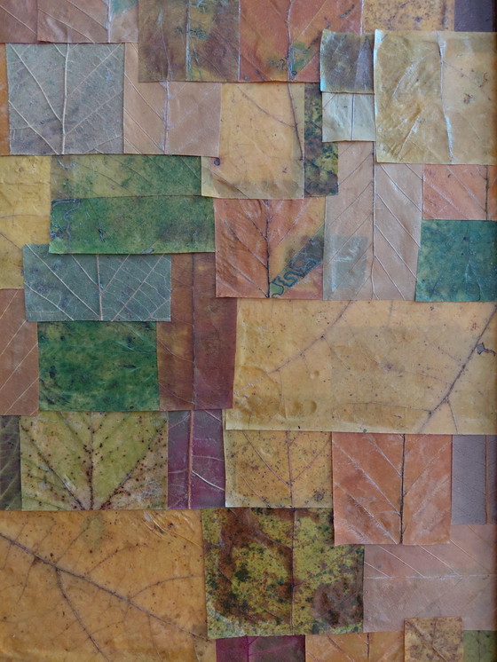 Image 1 of "Caught Between Pages" Gallery Suncorner